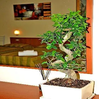 Hotel San Siro Fiera Milaan